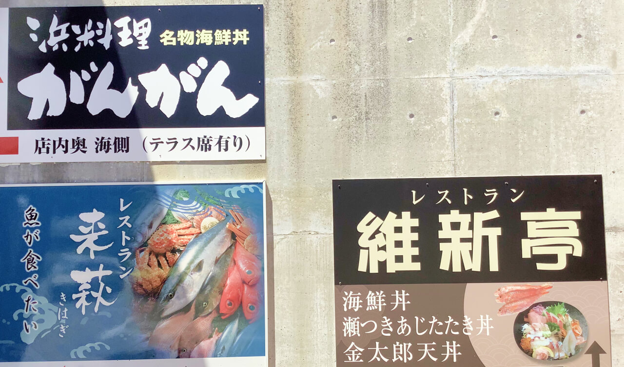 セリの様子