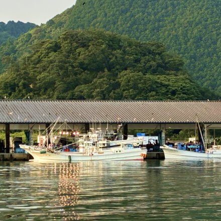 山の景色